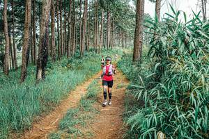 BIB: 
                            <button type="button" onclick="openModal(25686906)" class="btn btn-primary btn-sm float-right btn-popup" data-toggle="modal" data-target=".modal-high-quality">
                        <i class="fas fa-shopping-cart"></i> Add to Cart
                    </button>
                                            <button type="button" onclick="isThisMe(25686906, true)" class="btn btn-success btn-sm float-right btn-popup btn-isme hidden" data-toggle="tooltip" data-placement="bottom" title="นี่คือรูปของคุณใช่ไหม คลิกที่นี่เพื่อเอาเข้าอัลบั้ม">
                        <i class="fas fa-plus"></i> Add to album
                    </button>
                    <button type="button" onclick="isThisMe(25686906, false)" class="btn btn-warning btn-sm float-right btn-popup btn-isnotme hidden">
                        <i class="fas fa-ban"></i> Remove from album
                    </button>